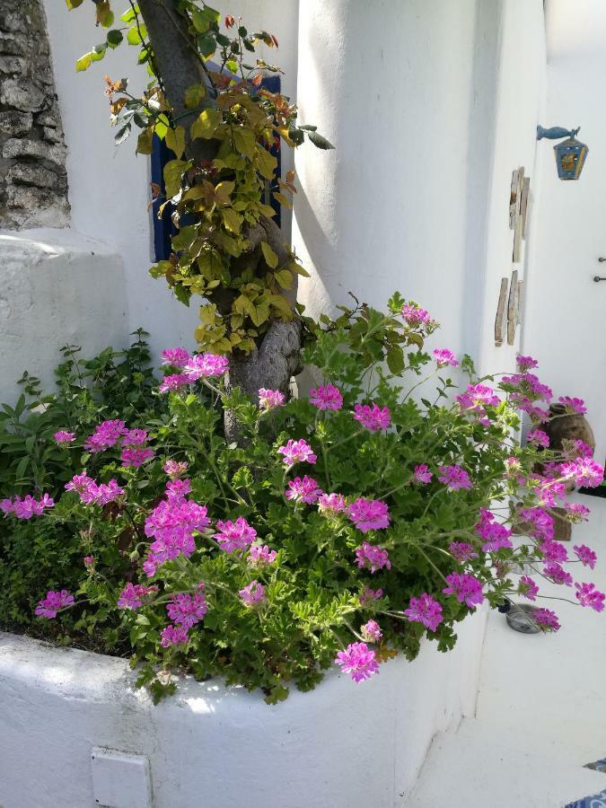 Hotel La Rosamarina Estrómboli Exterior foto